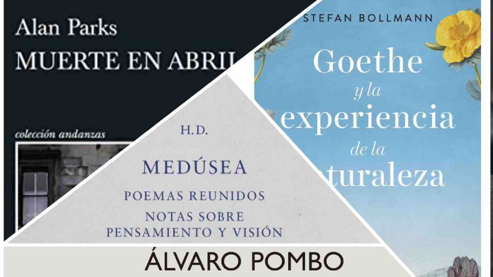 Oler los libros - De Stefan Bollmann a Álvaro Pombo - Escuchar ahora
