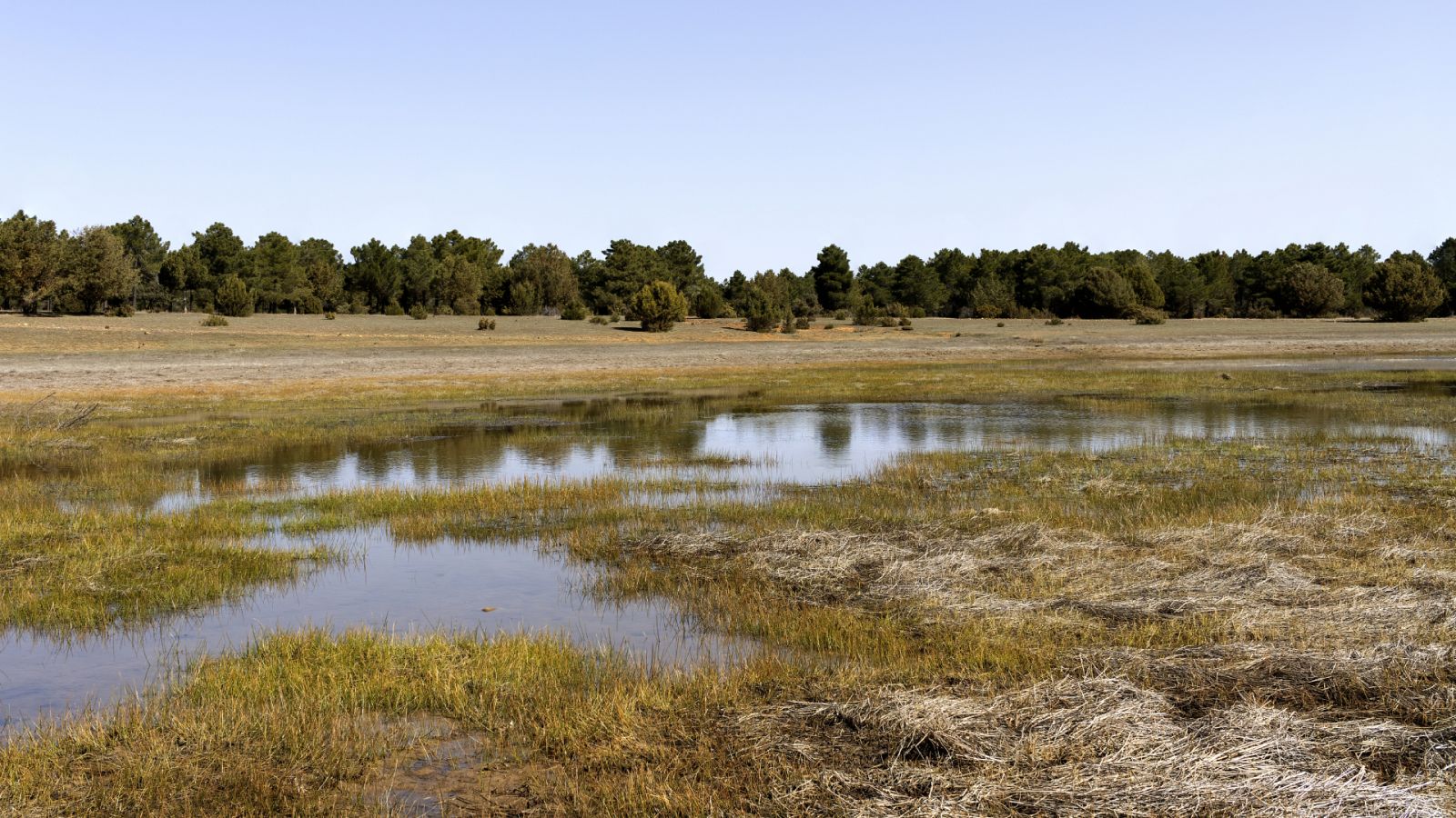 Planeta vivo - Día Mundial de los Humedales - 01/02/23 - Escuchar ahora