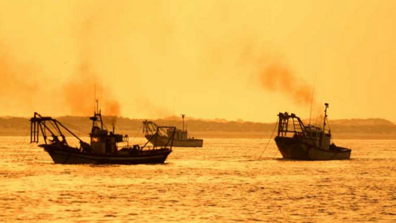 Españoles en la mar - Oceana y las medidas para la descarbonización del sector - 02/02/23 - escuchar ahora