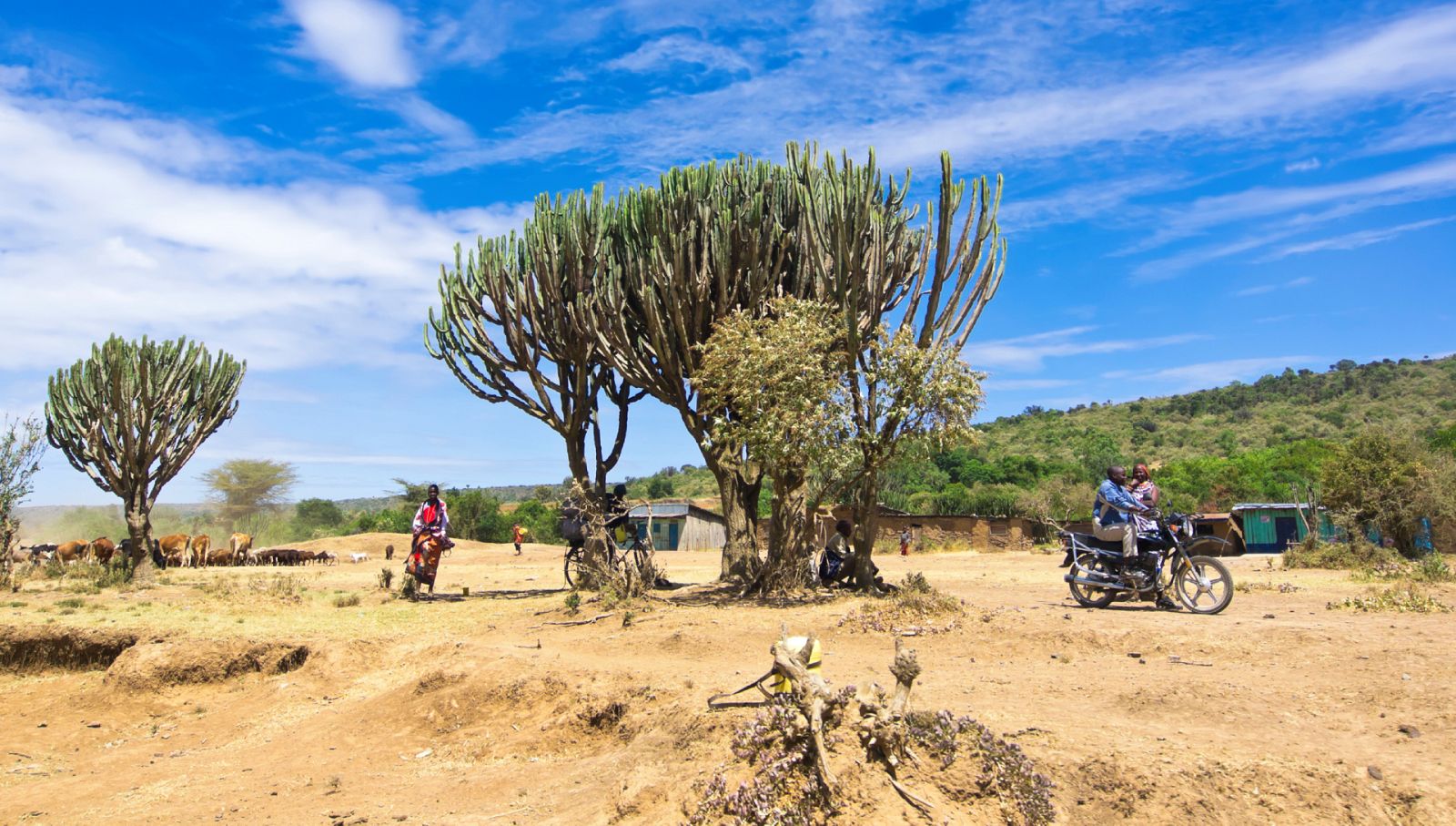 La vuelta al mundo con Miquel Silvestre - Moyale Highway 4 - 02/02/23 - escuchar ahora