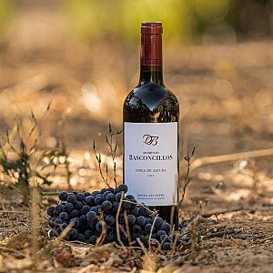 En clave Turismo - En clave Turismo - Legado e innovación del vino en altura de Ribera del Duero - 13/02/23 - escuchar ahora