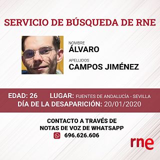 Servicio de búsqueda