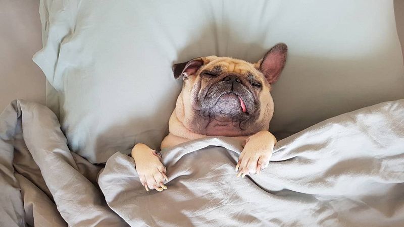 Longitud de onda - La siesta es un acto de resistencia - 17/02/23 - escuchar ahora