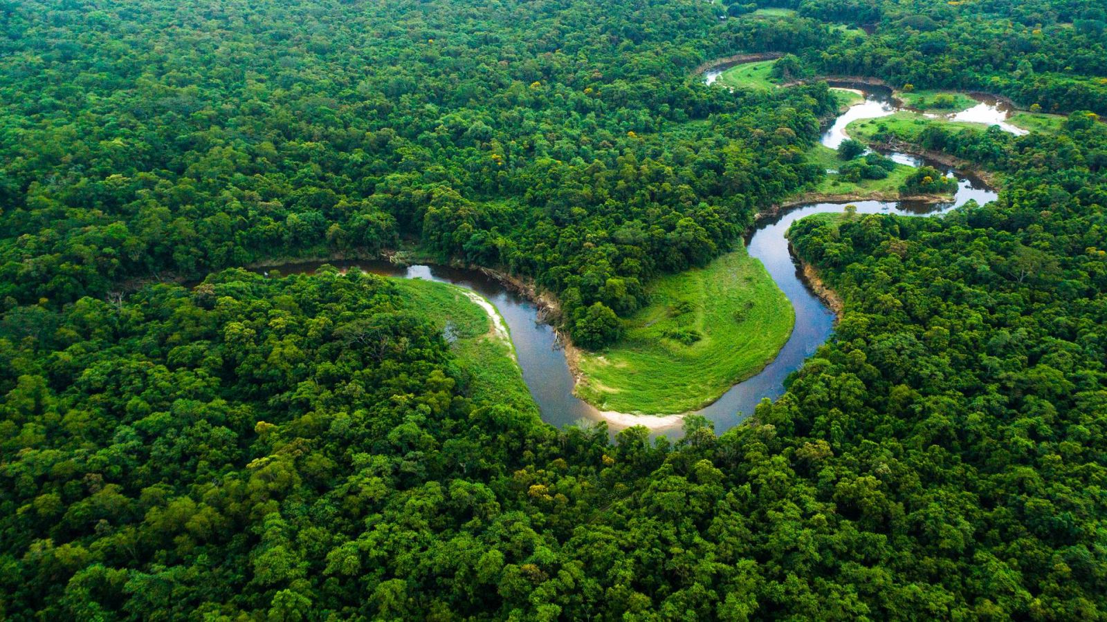 Sapiens - La naturaleza de la naturaleza - 18/02/23 - escuchar ahora