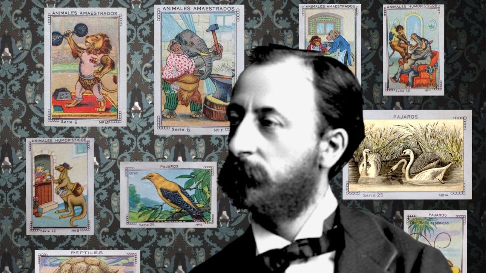 Música y Significado - SAINT-SAËNS: Carnaval de los animales - 18/02/23 - escuchar ahora