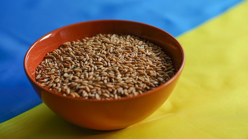 Las Mañanas de RNE - ¿Dónde se destina el grano exportado de Ucrania? - Escuchar ahora