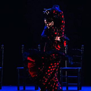 Nuestro flamenco