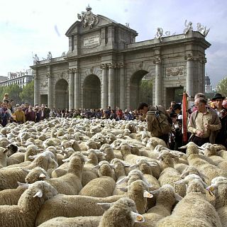 Las cuñas de RNE