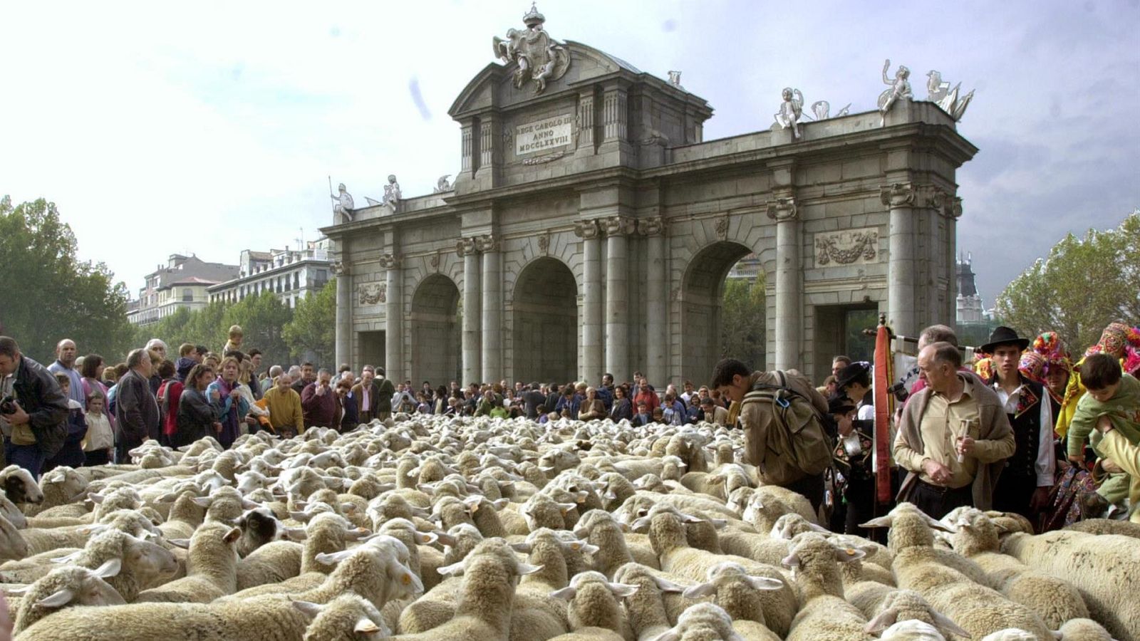 La Mesta, reino de lana - Escuchar ahora