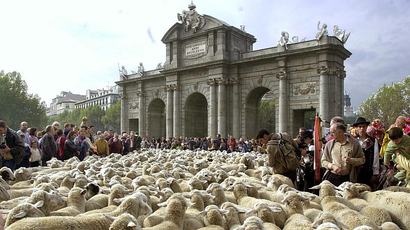 La Mesta, reino de lana - Escuchar ahora