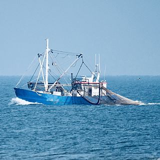 Españoles en la mar