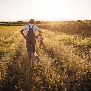 Mundo rural