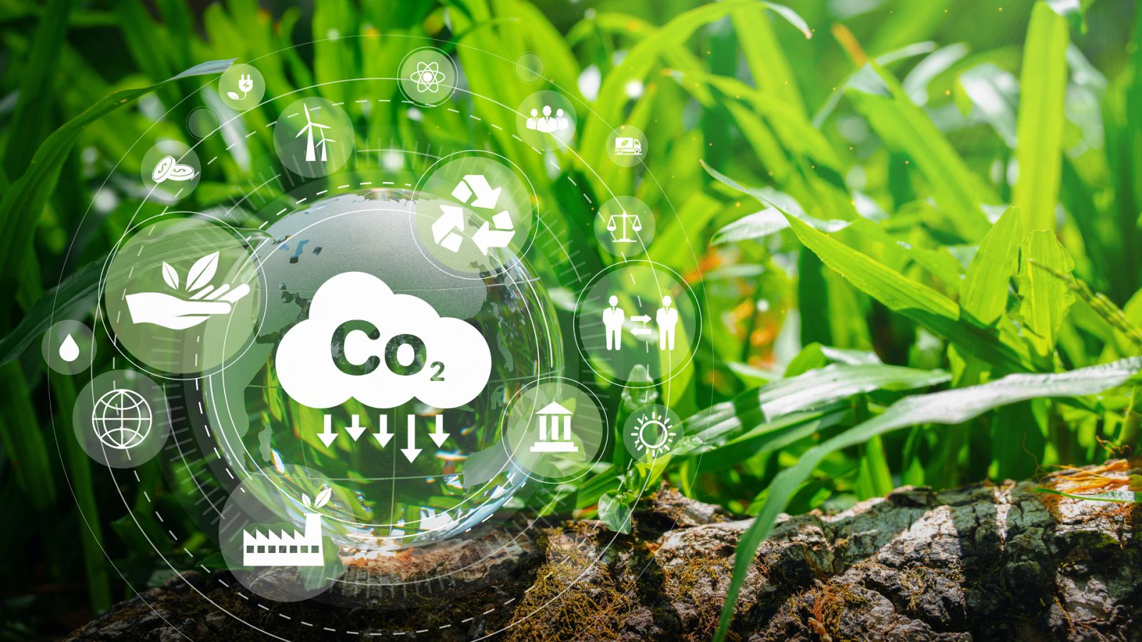 Planeta vivo - Almacenar CO2 bajo tierra - 010323 - escuchar ahora