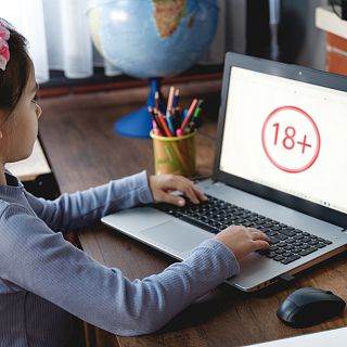 Seguridad del internauta