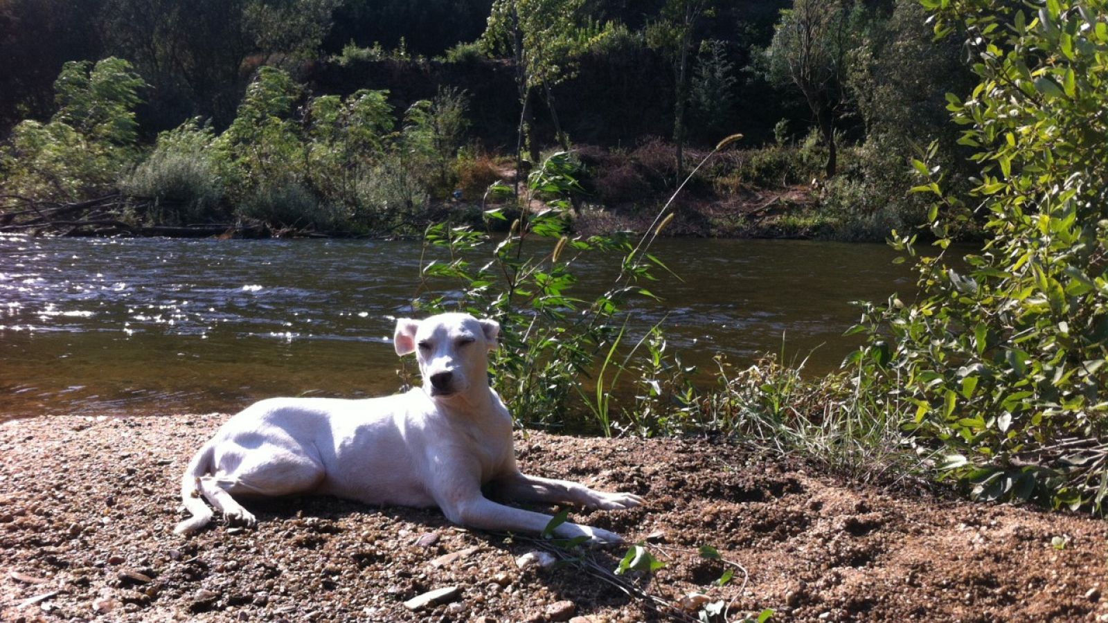 El Club Lento - Aquae: Naturaleza portuguesa - 03/03/2023 - Escuchar ahora