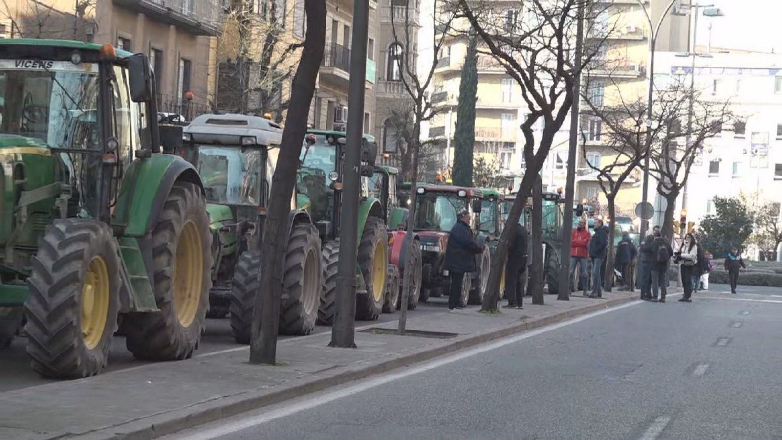 Els pagesos protesten contra les plagues de conills al camp | JOANA SENDRA