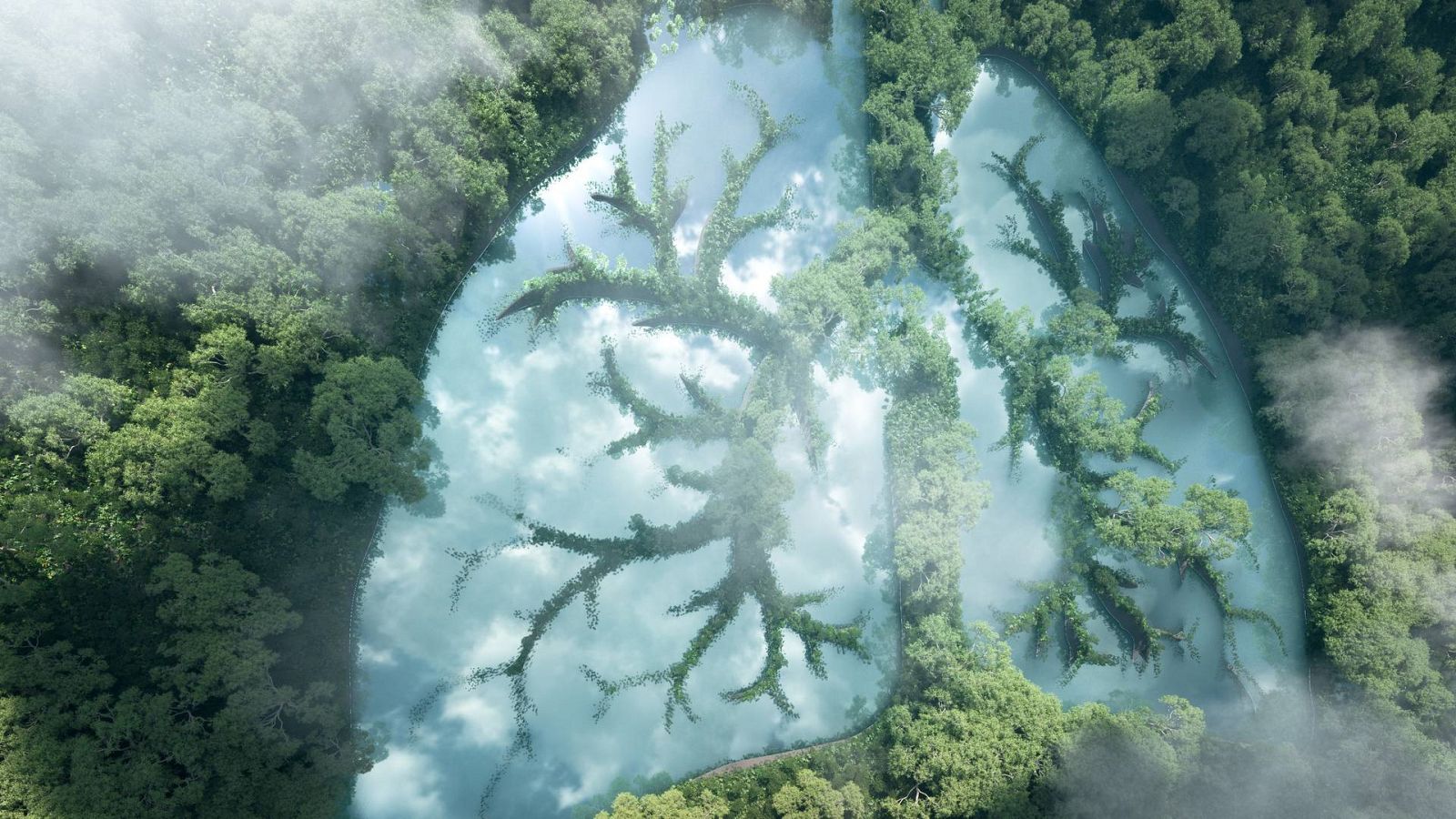 Sapiens - Crisis Ecosocial. Con Yayo Herrero - 04/03/23 - escuchar ahora