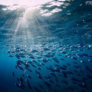 14 Horas fin de semana