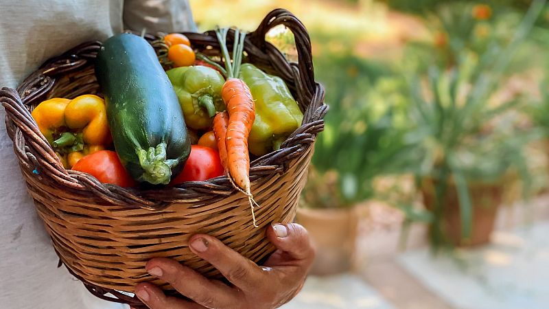 Las Mañanas de RNE - Susana Monereo, Sociedad Española para el estudio de la Obesidad: "Si usamos la comida como recompensa establecemos unos circuitos difíciles de romper" - Escuchar ahora