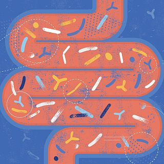 Microbiota intestinal: el segundo cerebro