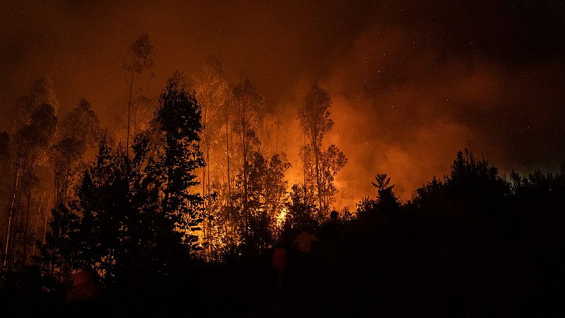 Las Mañanas de RNE con Íñigo Alfonso - Incendios: "Ya se reúnen unos condicionantes que hacen que la vegetación esté muy disponible para arder" - Escuchar ahora