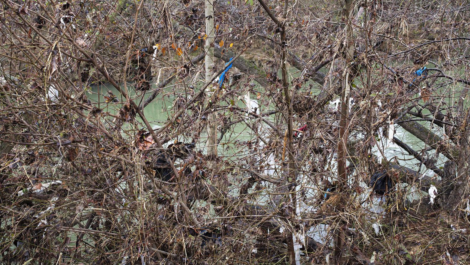 Vida verde - La basura que abandonamos en espacios naturales - 18/03/23 - escuchar ahora