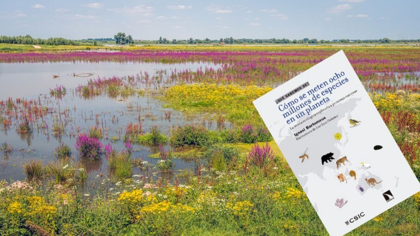 El siglo XXI debe ser el de la revolución ecológica - Escuchar ahora 