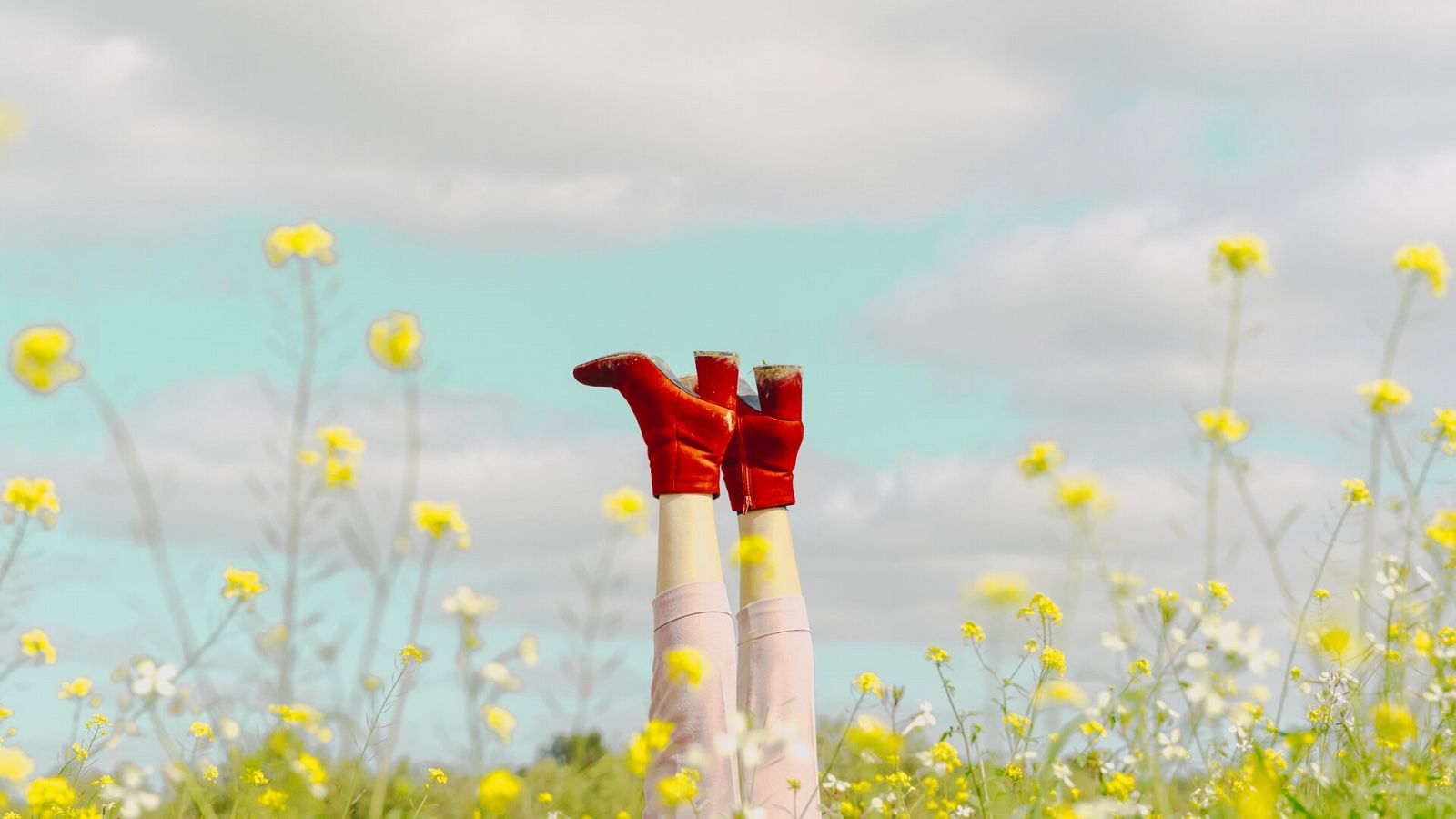 El gallo que no cesa - El rincón del caos: Ya huele a primavera, ¿verdad? - Escuchar ahora