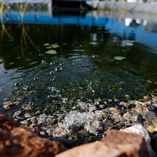 "La desalaci�n es una de la soluciones a la escasez de agua"