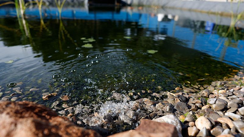 Las Mañanas de RNE con Íñigo Alfonso - Día Mundial del Agua: "La desalación es una de la soluciones a la escasez de agua" - Esuchar ahora