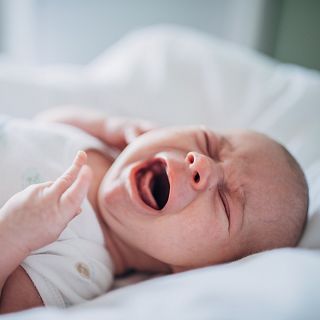 Jugando con la Oca. Observar, controlar, actuar