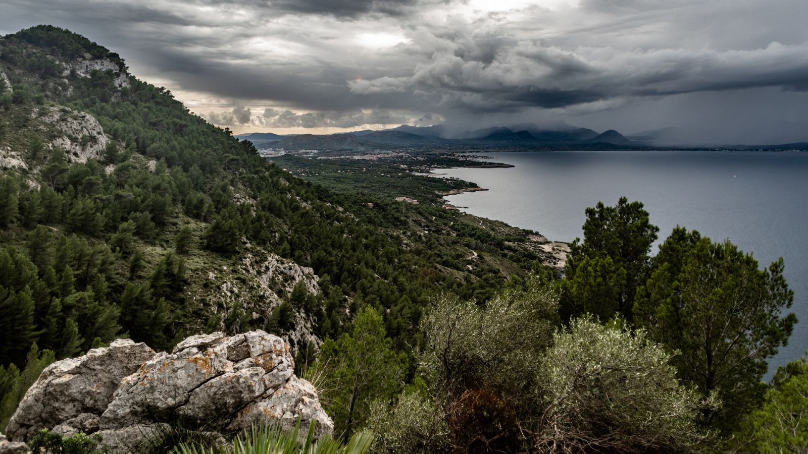 Planeta vivo - La sequía en los bosques mediterráneos - 22/03/23 -    escuchar ahora