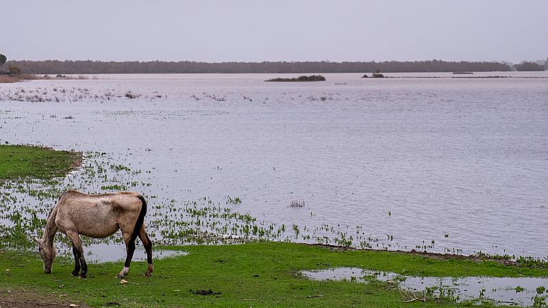 Crónica de Andalucía - "Andalucía tiene problemas de sequía y de escasez de agua" - Escuchar ahora