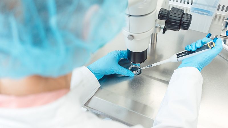 Las Mañanas de RNE con Íñigo Alfonso - Errores en los procesos de fecundación in vitro: "Los protocolos de seguridad son muy exhaustivos" - Escuchar ahora