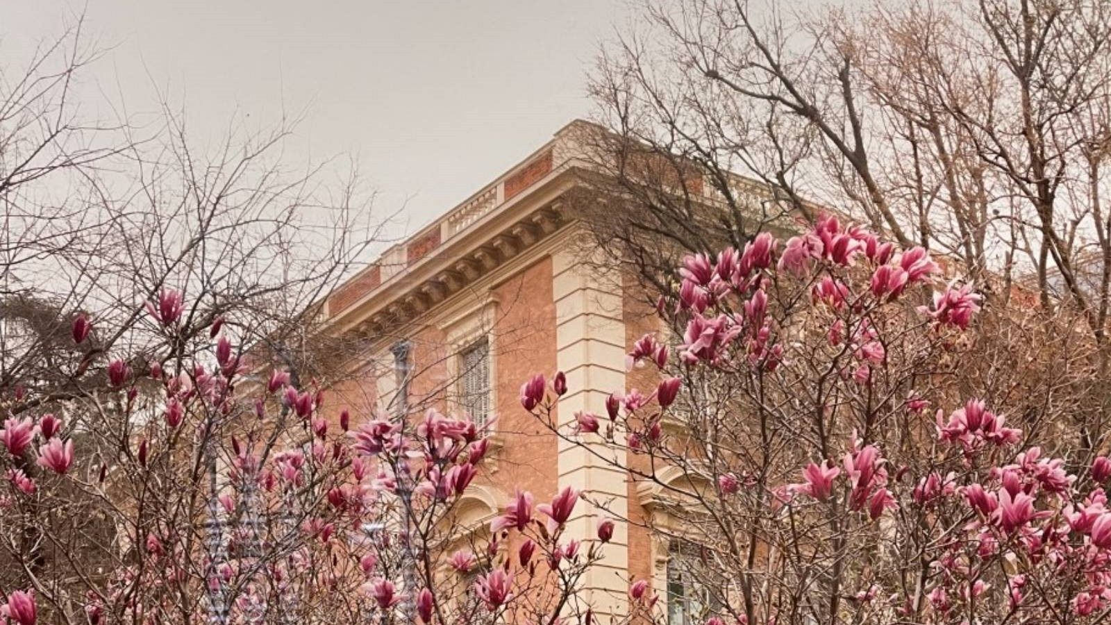 La radio tiene ojos - Linarejos Moreno - 26/03/23 - escuchar ahora