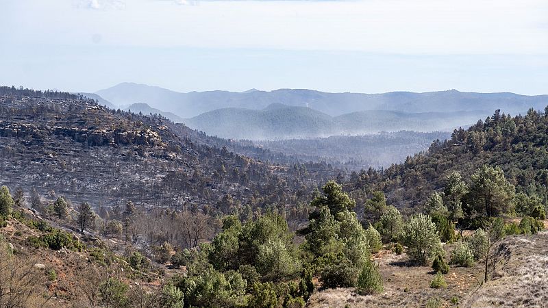 Las Mañanas de RNE - Eva Redondo, directora territorial de Presidencia de la Generalitat Valenciana: "Los incendios que teníamos en verano estamos empezando a tenerlos todo el año" - Escuchar ahora