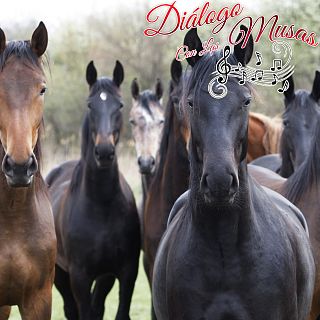 Diálogo con las musas