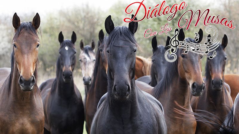 Diálogo con las musas - Un caballo sin nombre - Escuchar ahora