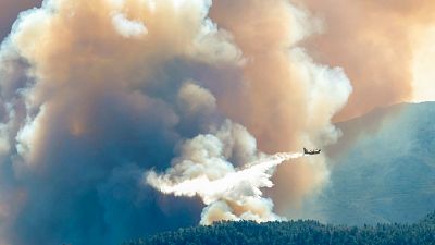 Las Maanas de RNE - Gabriela Bravo (Generalitat Valenciana): "Estimamos que el incendio ha afectado a cerca de 4.300 hectreas" - Escuchar ahora