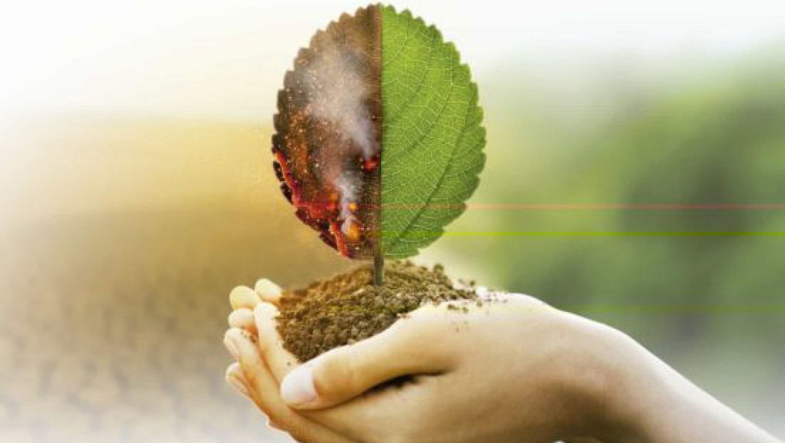 Vida verde - 'Cambio climático emocional' para superar los retos - 01/04/23 - escuchar ahora