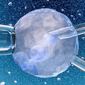 Longitud de onda - Longitud de onda - El estado del arte de la clonación - 29/03/23 - escuchar ahora