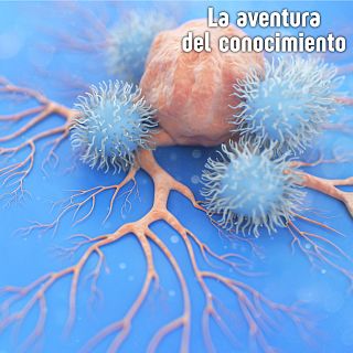 La aventura del conocimiento