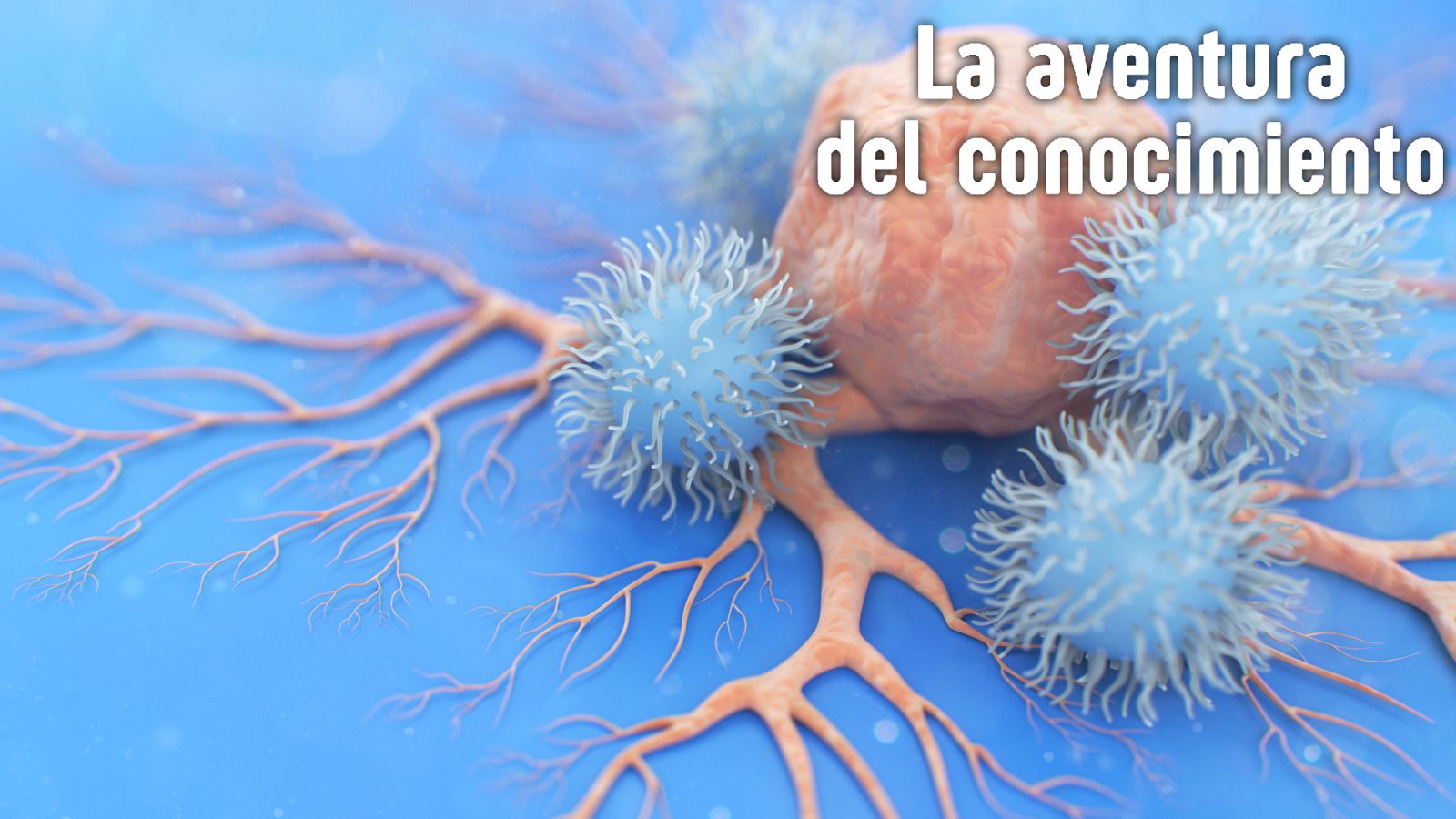 La aventura del conocimiento - El Instituto de Investigaciones Biomédicas Alberto Sols - Escuchar ahora