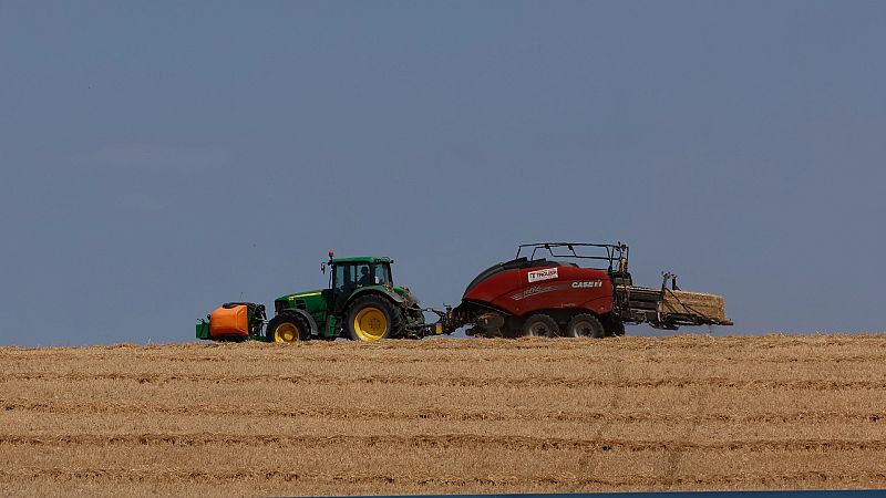 Las Mañanas RNE con Íñigo Alfonso - FENACORE: "Rebajar los costes de producción en el campo sería más efectivo que topar los precios" - Escuchar ahora