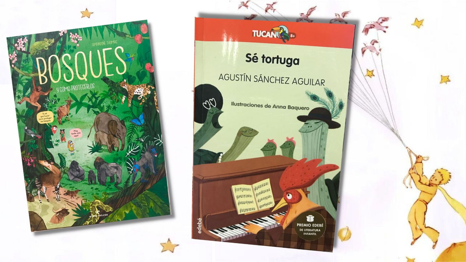 La estación azul de los niños - 'Sé tortuga' y celebra así el Día de la Literatura Infantil - 01/04/2023 - Escuchar ahora