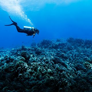 Diez minutos bien empleados