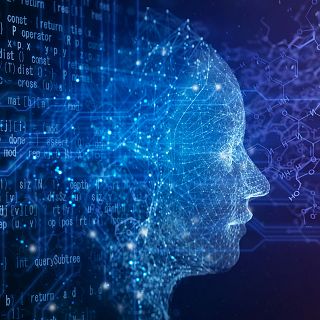 El gallo que no cesa