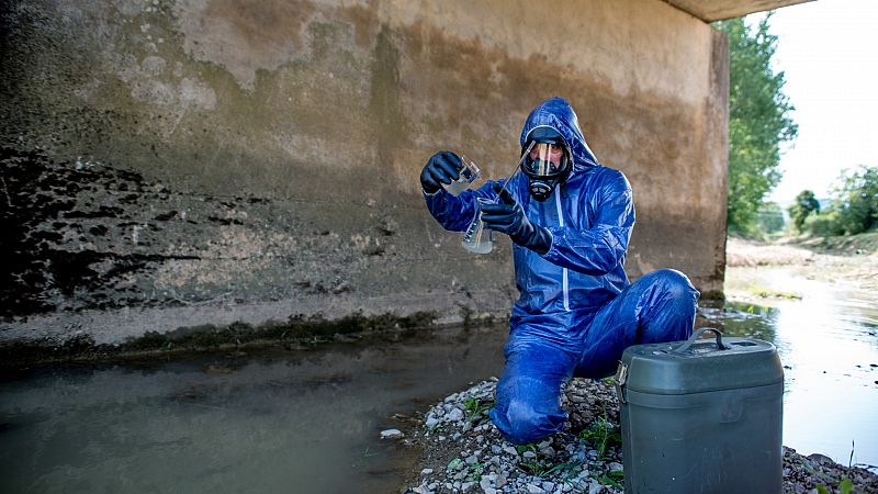 El gallo que no cesa - Lo que dicen las aguas residuales sobre el consumo de drogas - Escuchar ahora