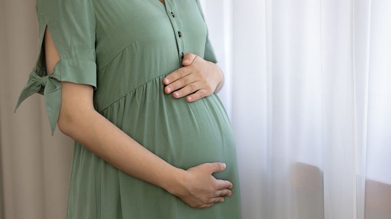 Las mañanas de RNE con Íñigo Alfonso - María del Carmen de la Fuente, vicepresidenta de la Asociación Española de Bioética: "La maternidad subrogada rompe las ataduras naturales entre madre e hijo" - Escuchar ahora