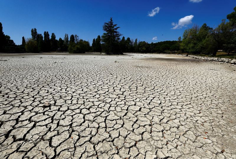 El campo valenciano se seca - 12/04/23 - Escuchar ahora